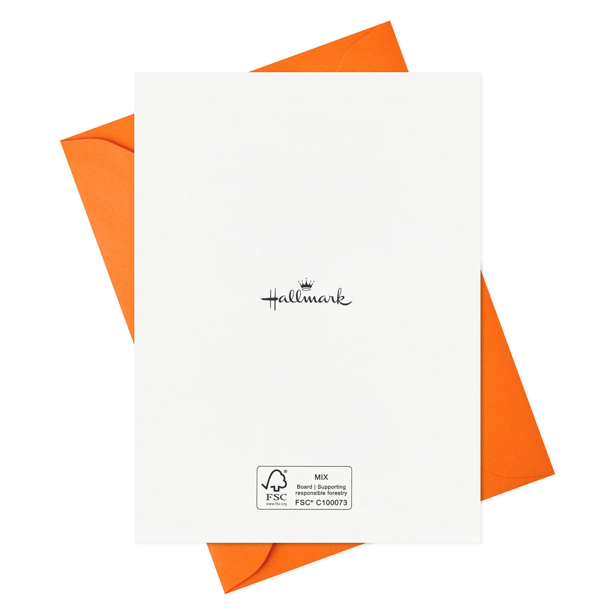 Hallmark Halloween Cards Assortment, Season's Creepings (24 Cards with Envelopes)