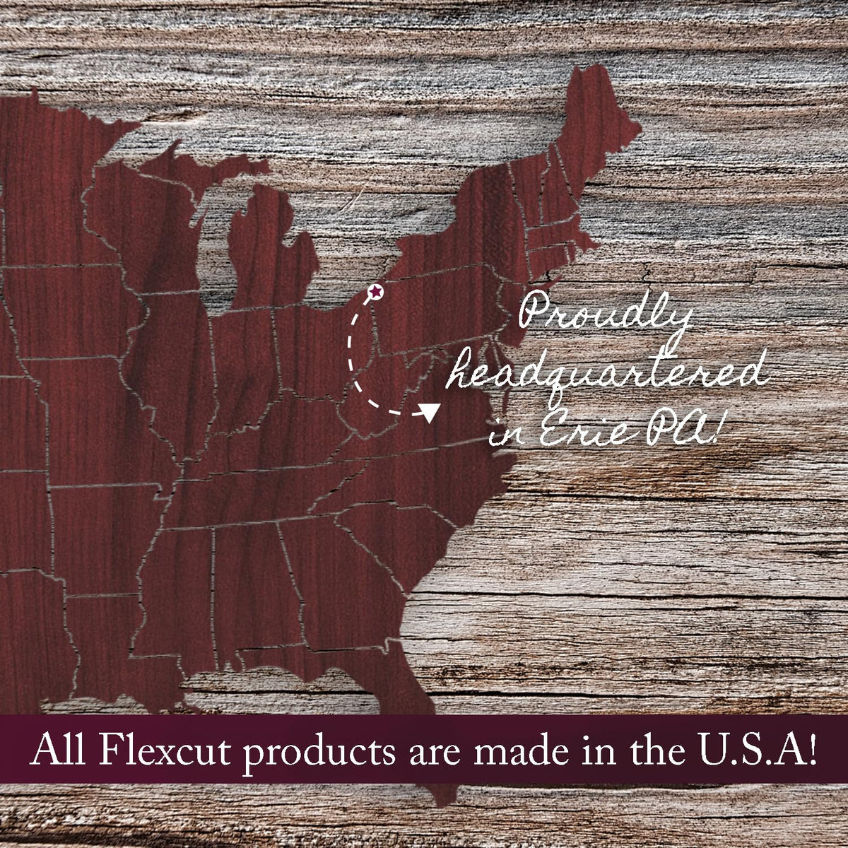 Flexcut Wood Carving Tools | 21 Piece Deluxe Starter Carving Set | Includes 16 Razor Sharp Blades, Cutting Knife, 2 Ergonomic Handles & DVD | 1095 High Carbon Steel Blades | SK108 | Made in the U.S.A.