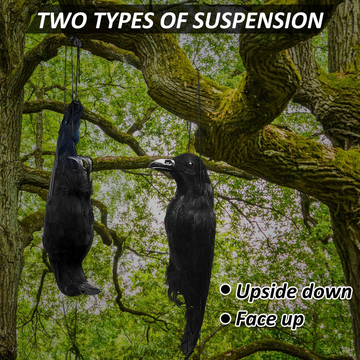 Lewtemi Realistic Hanging Dead Crows Decoy Life Size ,Feathered Fake Crows for Garden Decorations,Black,17 inches ,4 pcs