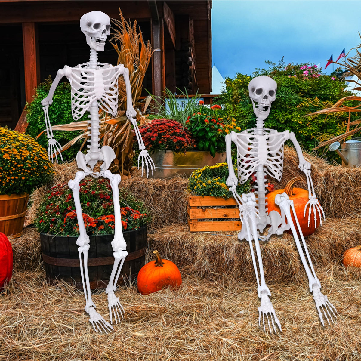 5.9Ft Halloween Skeleton Posable Skeleton Life Size Skeleton Plastic Full Body Human Skeleton for Halloween Decorations