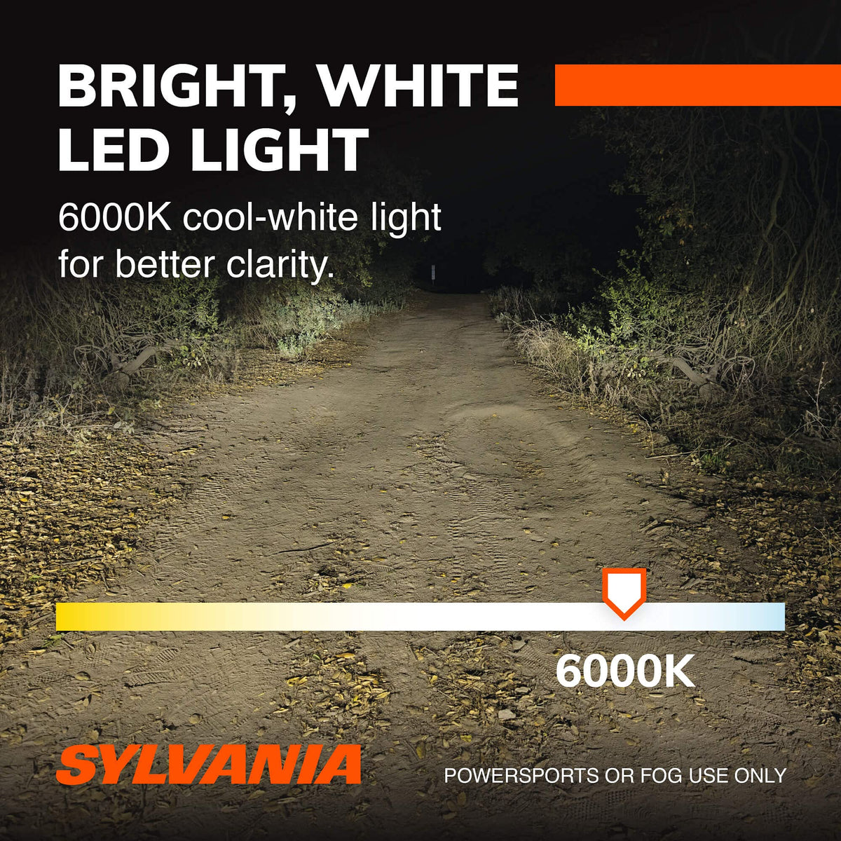 SYLVANIA H11 LED Headlight Bulbs - Off-Road/Fog Lights - Multicolor - Model H11SL.BX2 - 2 Pack