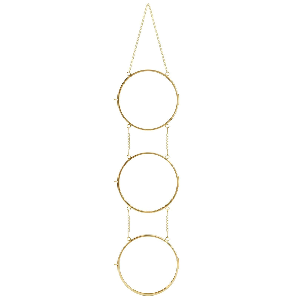 FOCHIER F Pressed Flower Frames with Tweezers,Wall Hanging Double Glass Frames with Metal Chain for Pressed Dried Flowers,Gold Picture Frame with Plants Golden Tabletop Décor, Horizontal and Vertical