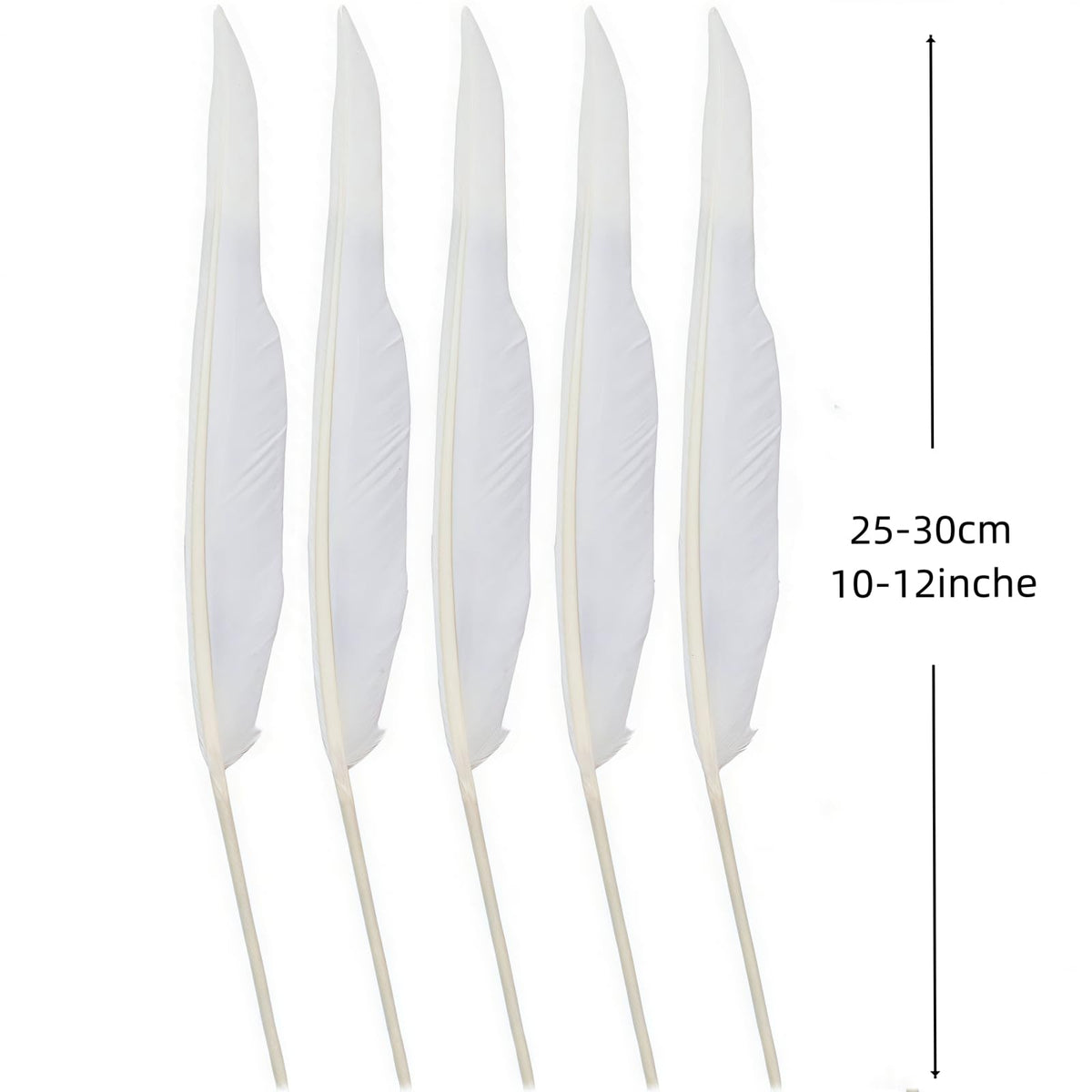 Bulk 28 pcs Natural White Goose Feathers,Long 10-12 inch (25-30cm) for Pen DIY Crafts,Wedding Centerpieces,Angel Wings,Parties (White)