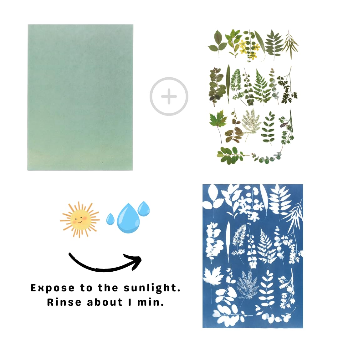 UrekaGo Cyanotype Paper Kit (8" X 10") | 10 Pre-Coated Sheets, 40 Floral Stickers, UV Index Card, Hard Clear Case, Glove, Cartoon Tutorial, Reusable Cardboard Envelope