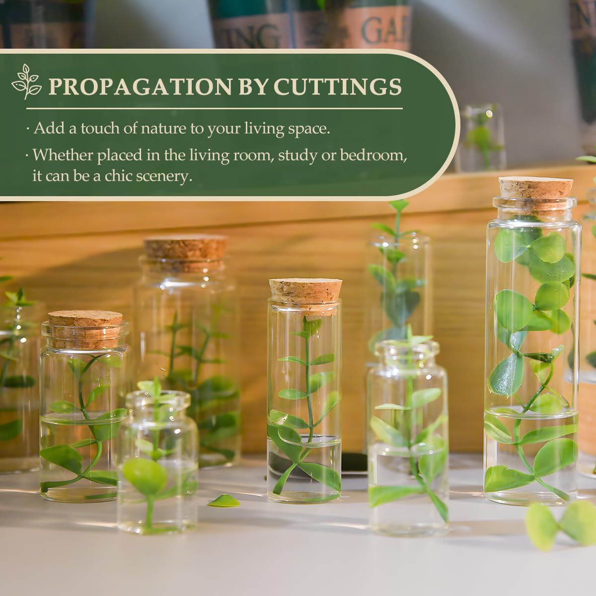 16-Pack 30ml (1.01 oz) Glass Bottles & Test Tubes with Cork Stoppers – for Spell Jars, Spice Storage, DIY Favors, Travel Memories, Plant Propagation – Empty Recyclable Containers for Crafts, Kitchen