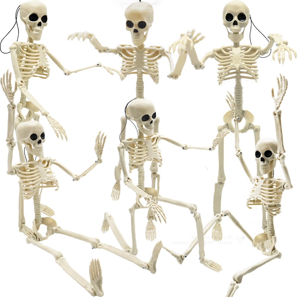 CAMIRUS 6PCS Skeleton Halloween Decorations, 16 in Full Body Poseable Small Skeleton Plastic Bones with Movable Posable Joints for Halloween Indoor Outdoor Party, Graveyard, Haunted House Accessories