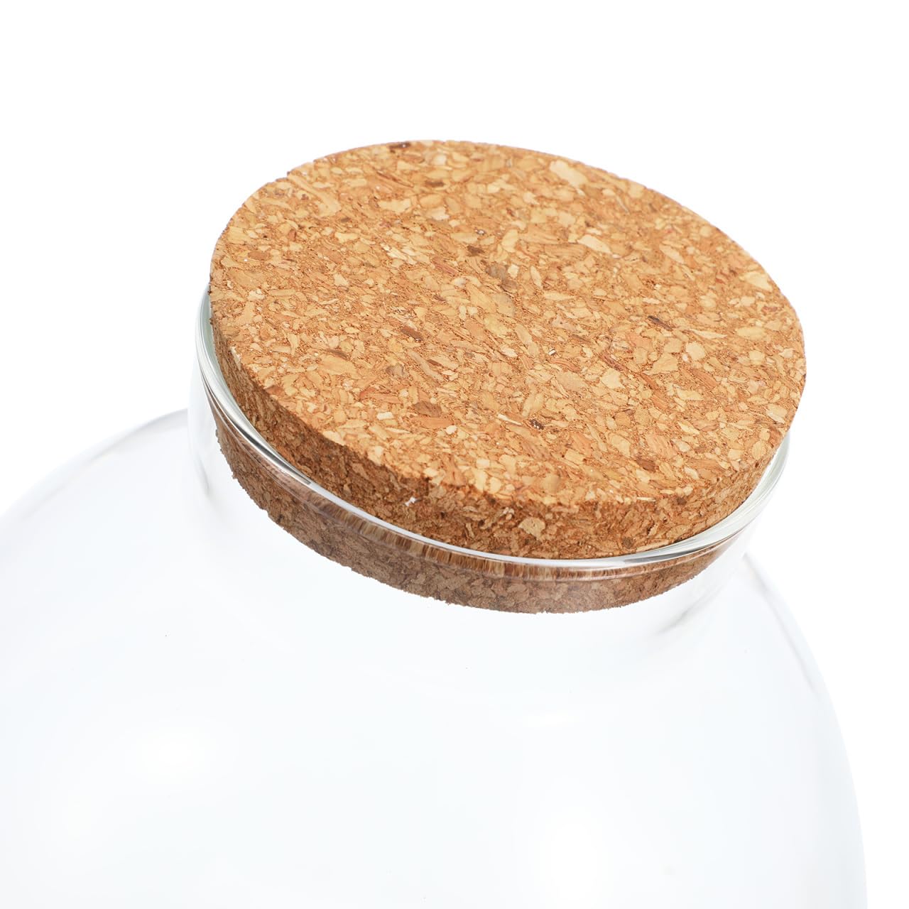 Toddmomy Glass Terrarium Bottle with Cork Lid, Closed Micro Landscape Round Jar, Desktop Moss Container for DIY Fairy Garden and Plant Ecosystem