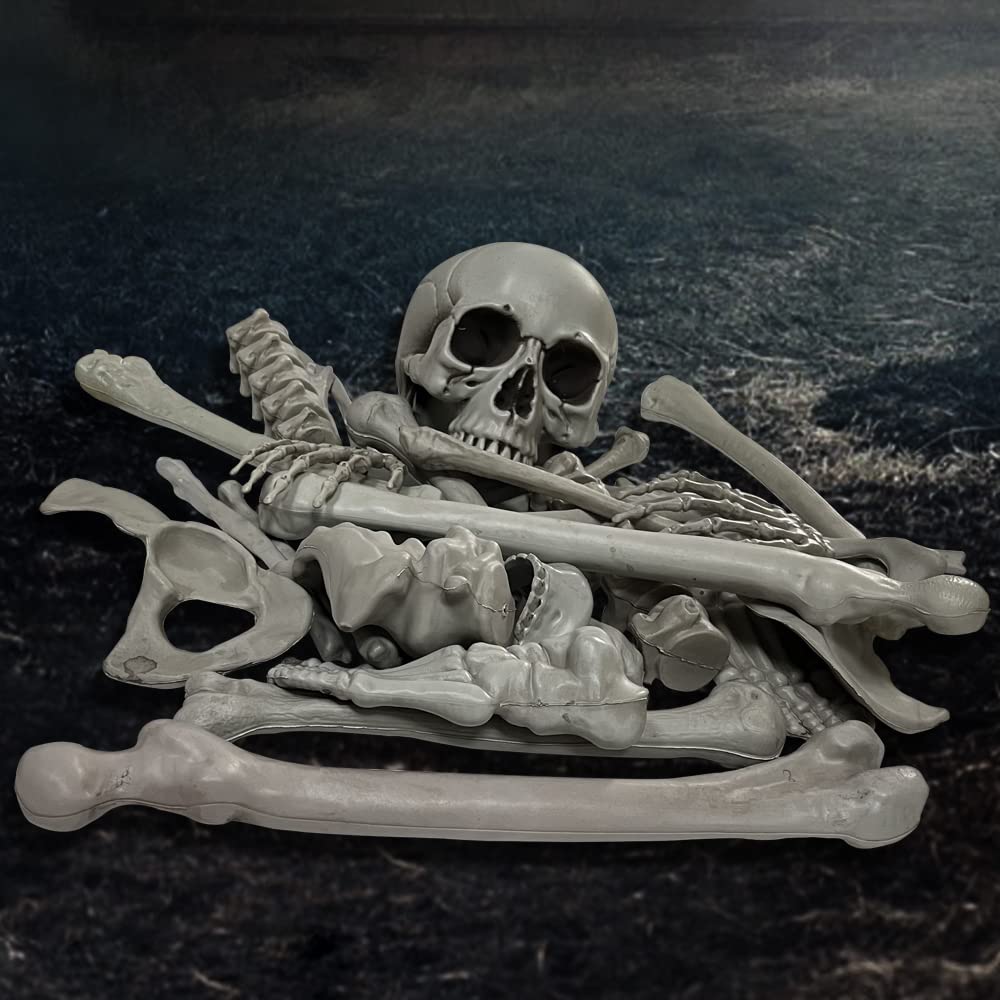 Halloween Skeleton Bones Realistic Looking Skulls Human Skeleton For Halloween Scary Graveyard Haunted House Lawn Yard Decorations(28 pieces）