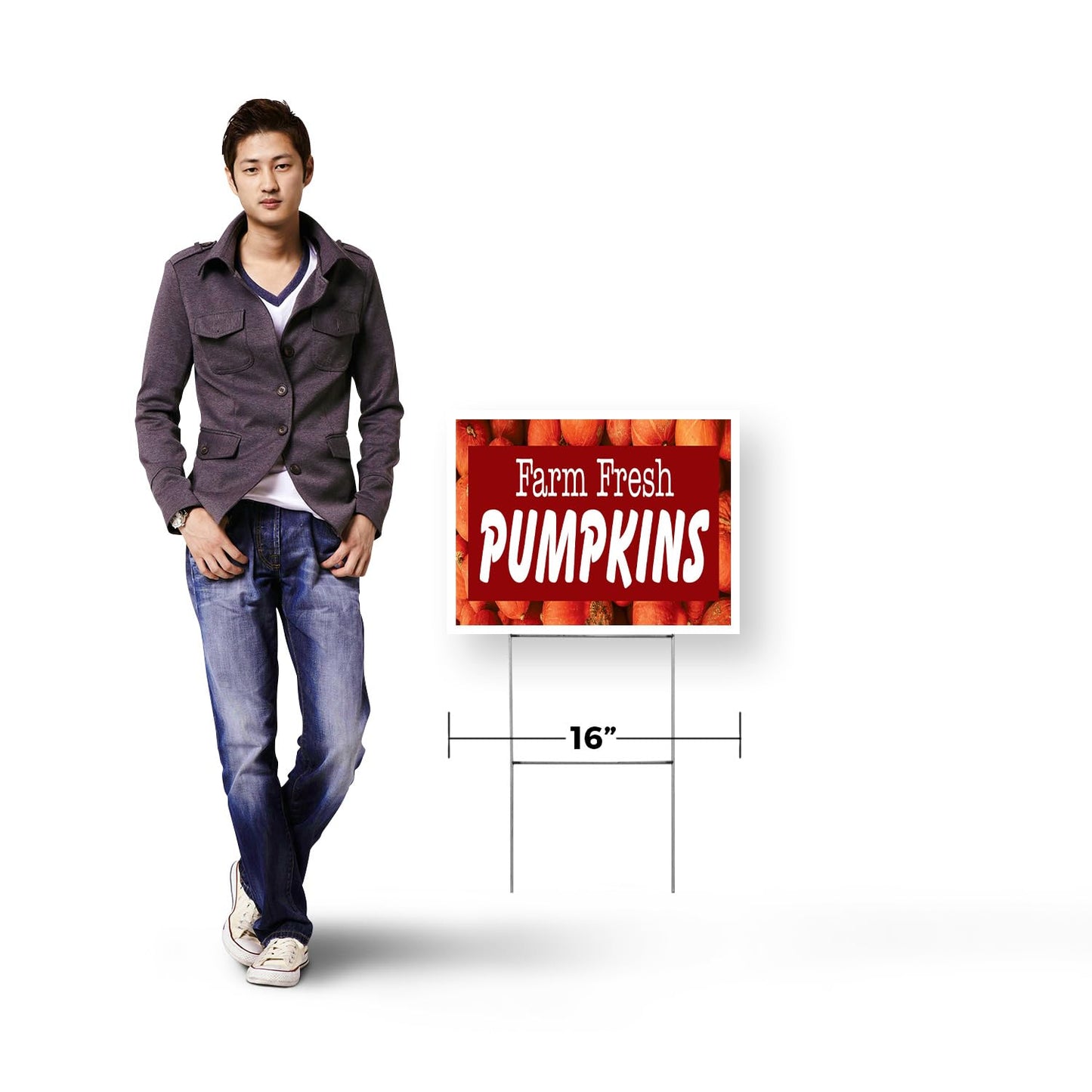 Farm Fresh Pumpkins Yard Sign 2 Pack of 12 Inch x 16 Inch Double Sided Weatherproof Heavy-Duty Plastic with Stake | Seasonal Favorites, Local Farms, Freshly Picked | Made in USA