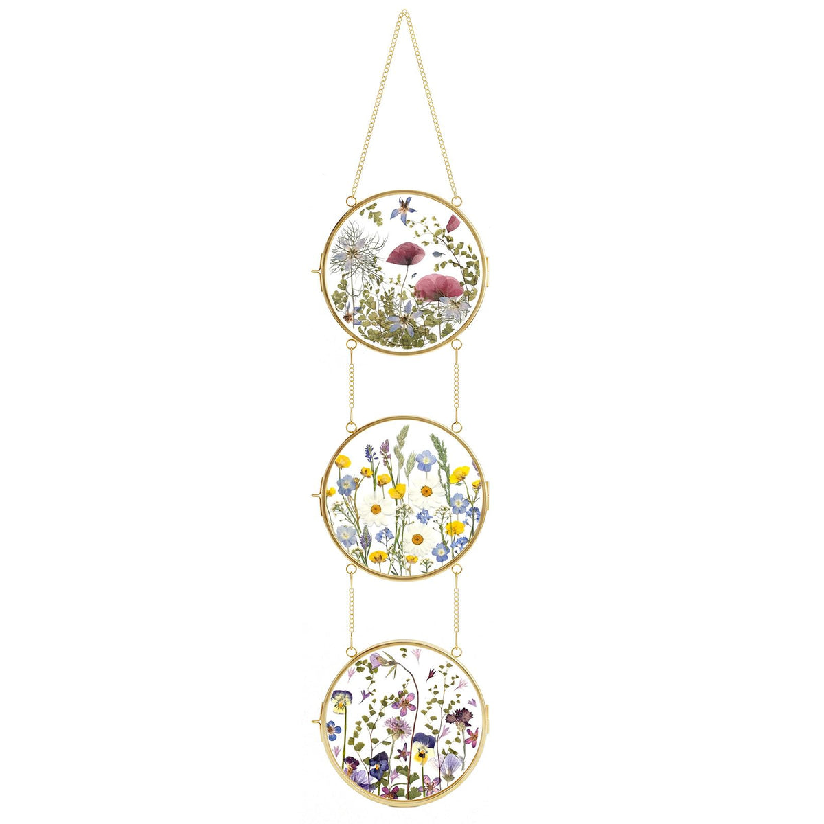 FOCHIER F Pressed Flower Frames with Tweezers,Wall Hanging Double Glass Frames with Metal Chain for Pressed Dried Flowers,Gold Picture Frame with Plants Golden Tabletop Décor, Horizontal and Vertical