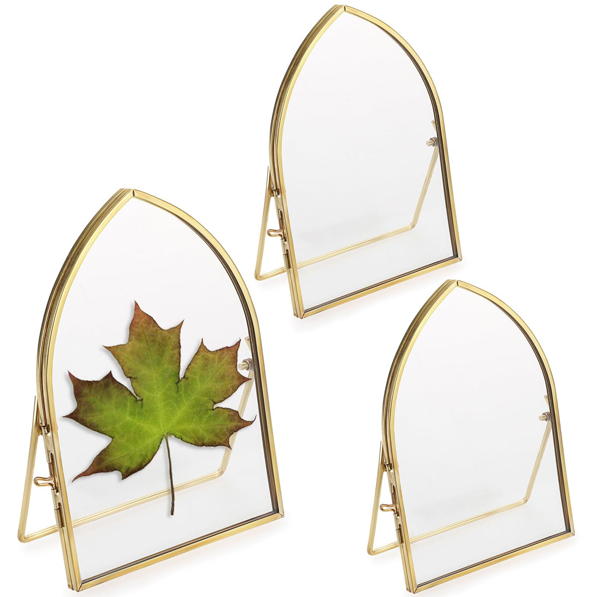 JUXYES 4x6 Inch Tabletop Double Glass Frame for Pressed Flowers, 3 Pack Glass Desktop Picture Artwork Display Frames, Brass Floating Frame Style for Dried Flowers Photo Picture Poster etc
