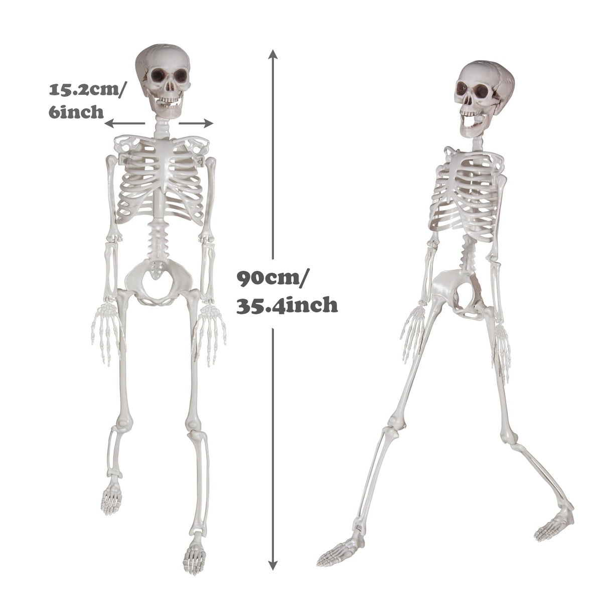 Kukooka 3ft Halloween Skeleton Decor Plastic Life Size Full Body Human Bones with Movable Joints for Halloween Decoration (1 Piece)