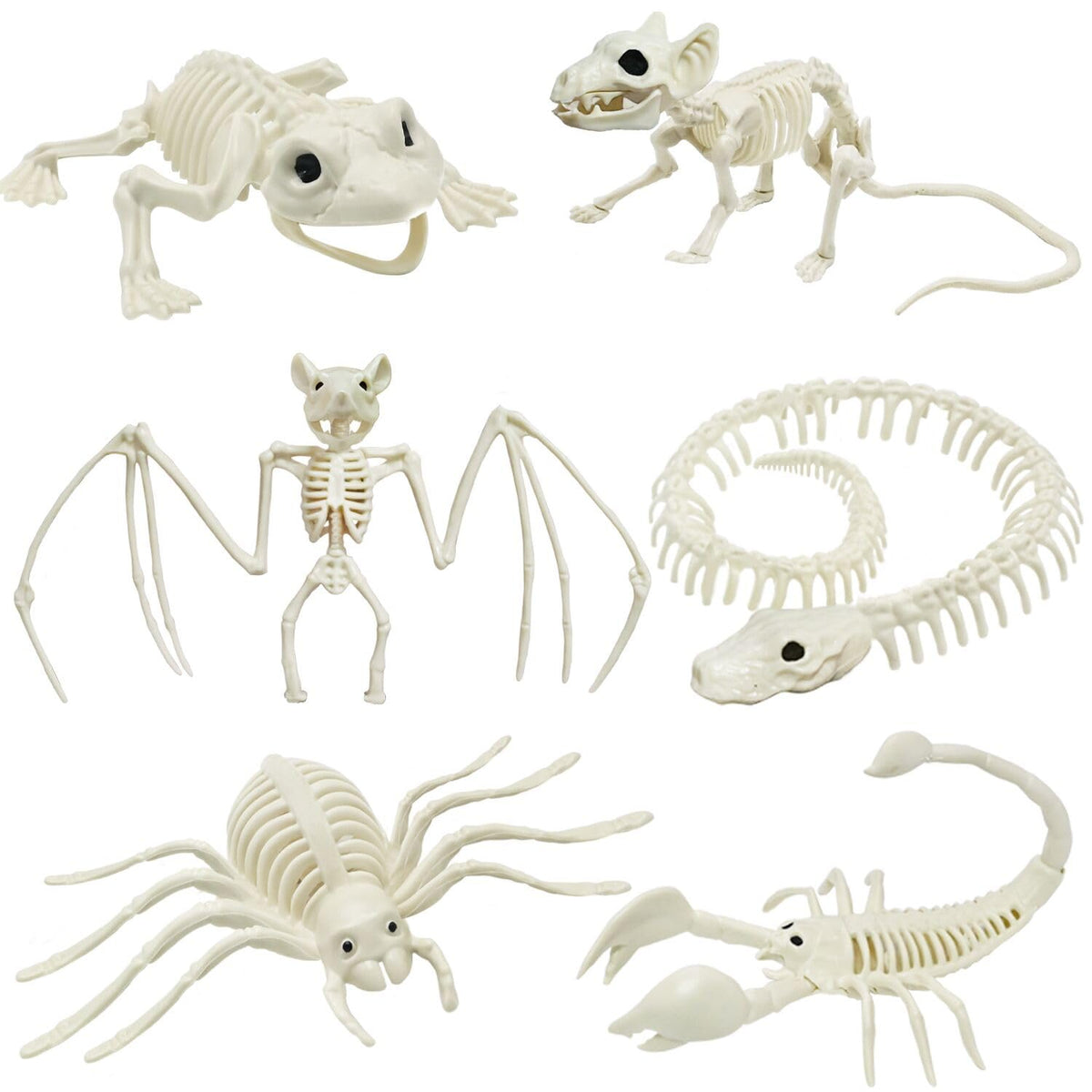 CAMIRUS 6Pack Animal Halloween Skeletons, Plastic Animal Skeleton with Bendable Tails and Movable Jaws for Halloween Party Haunted House Indoor Outdoor Decorations