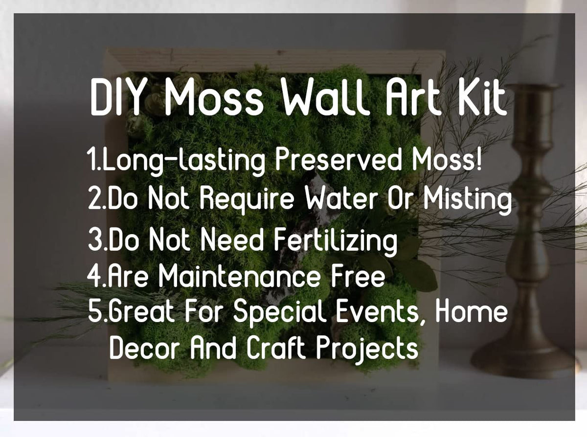 Prefleur Preserved Sheet Moss Natural Green Decorative Real Natural Green DIY Kit Gardenning Art Wall Decor Florist Decor Easter Table Decor Wedding 2 sq.ft.Green-B