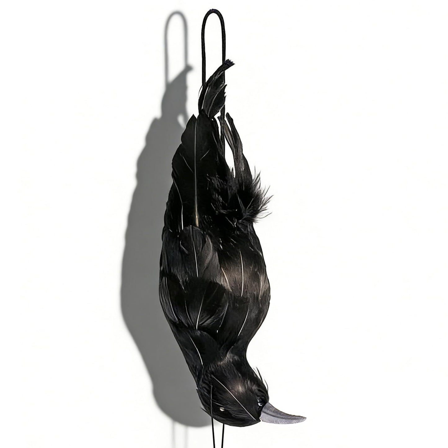 CYTGOUPER Realistic Hanging Dead Crow Decoys,12 Inch Large Lifesize Fake Crow Hunting Bait,Black Feathered Crows Decoy Figuring for Garden Halloween Decor Birds Party Props