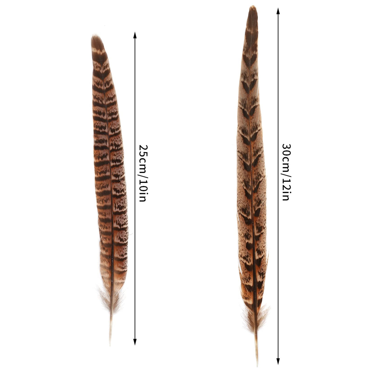 obmwang 27Pcs 25-30cm Natural Pheasant Feathers for DIY Craft Wedding Home Party Decorations