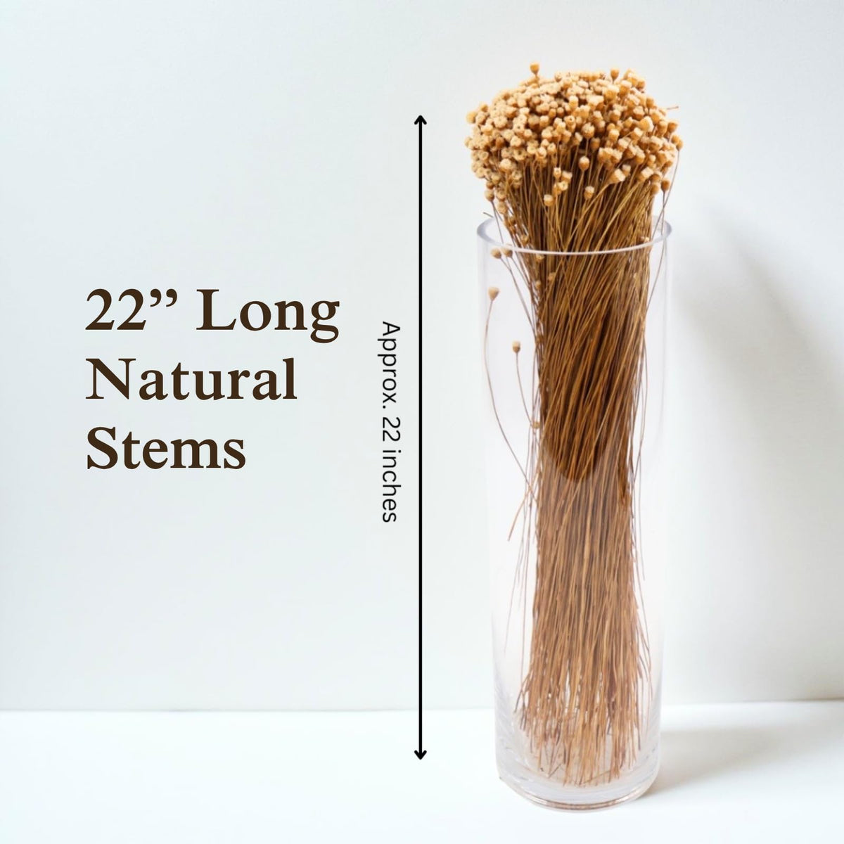 Quality Growers - Happy Flower Preserved Bouquet - Preserved Botanical Flowers for Home Decor, Floral Arrangements, Crafts & DIY Projects - Hand-Harvested - 22” Long - Natural