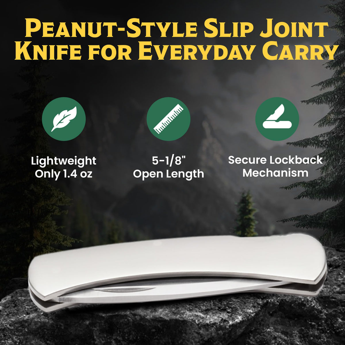 BEAR & SON 125 Executive Lockback Pocket Knife – Small Traditional Stainless Steel Folding EDC w/Brushed Handle, High Carbon Stainless Drop Point Plain Edge Blade, Manual Nail Nick Opening, USA Made