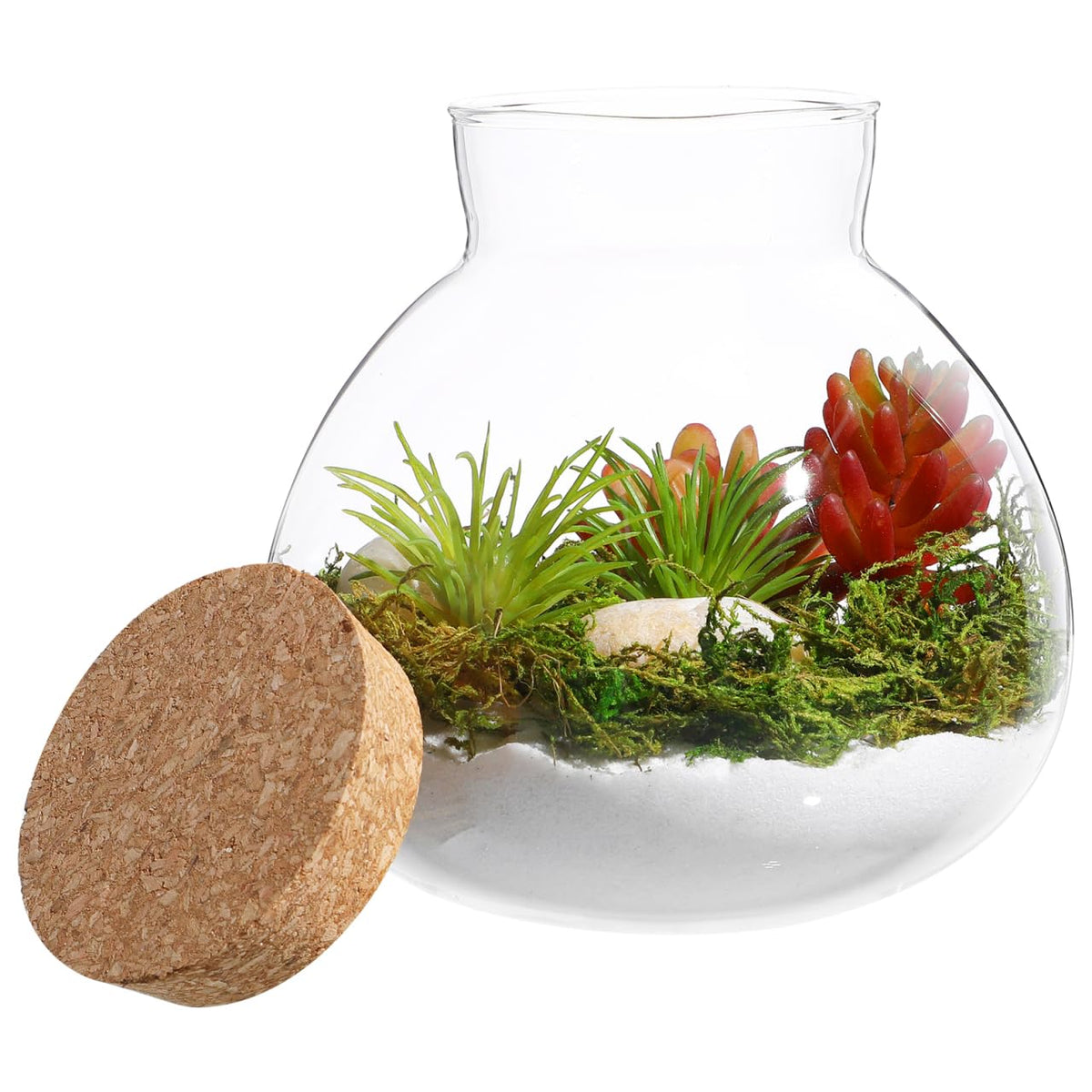 Toddmomy Glass Terrarium Bottle with Cork Lid, Closed Micro Landscape Round Jar, Desktop Moss Container for DIY Fairy Garden and Plant Ecosystem