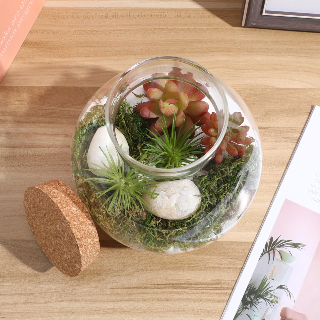 YARNOW Terrarium Bottle with Cork Lid 5.5 Inch Clear Glass Jar for Diy Micro Landscape Succulent Plant Moss Display and Home Decoration