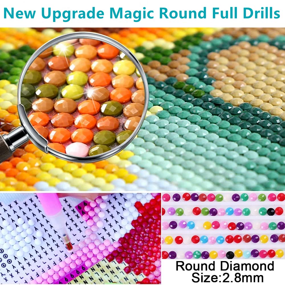 Ourtimfun 5D Diamond Painting Kits Flying Mallard Wild Duck Full Drill Round Beads Diamond Art Gems Stone Cross Stitch DIY Diamond Painting by Number Kits Wall Decoration 12x16inch(53), Clear