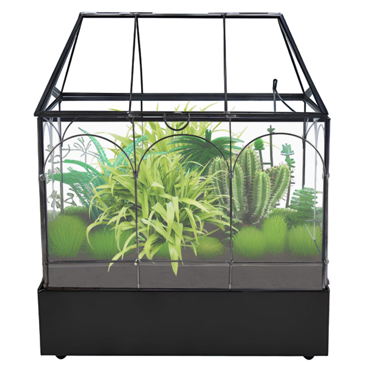 HighFree Glass Terrarium with Metal Tray, Glass Greenhouse Terrarium Kit for Succulents, Cacti, Snails, Spiders, and Miniature Reptiles, Black (Large-9.45" L x 5.7" W x 11.8" H)