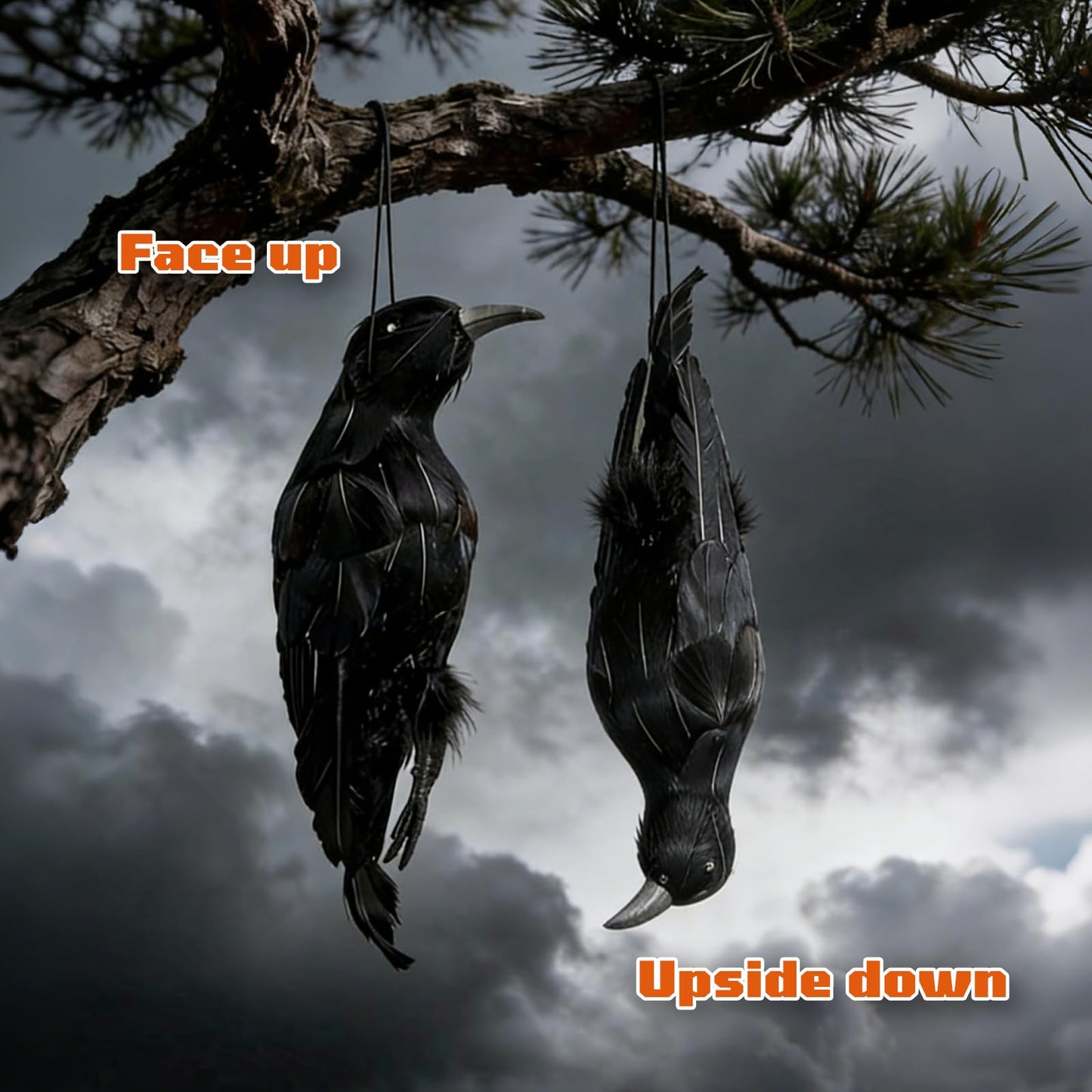 CYTGOUPER Realistic Hanging Dead Crow Decoys,12 Inch Large Lifesize Fake Crow Hunting Bait,Black Feathered Crows Decoy Figuring for Garden Halloween Decor Birds Party Props
