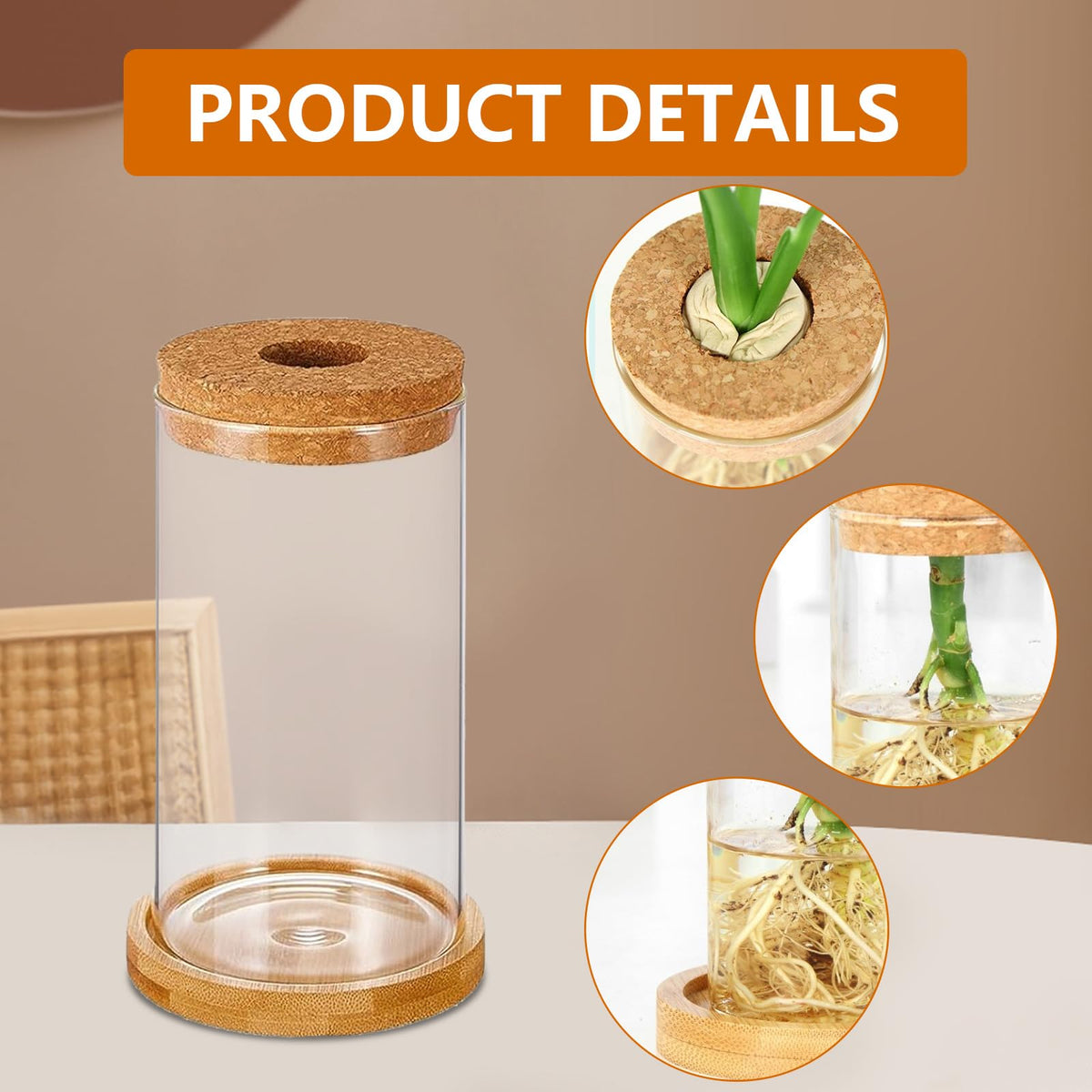 Hyuetrsa 6 Pcs Plant Propagation Terrarium Glass Propagation Vase Containers with Cork and Wooden Saucer for Hydroponic Plants Tabletop Decoration Jars for Plants (2.56 x 4 Inch)