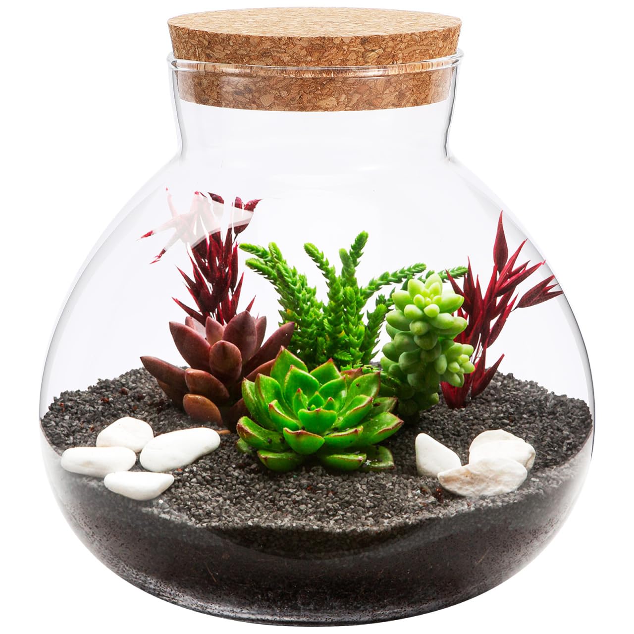YARNOW Terrarium Bottle with Cork Lid 5.5 Inch Clear Glass Jar for Diy Micro Landscape Succulent Plant Moss Display and Home Decoration