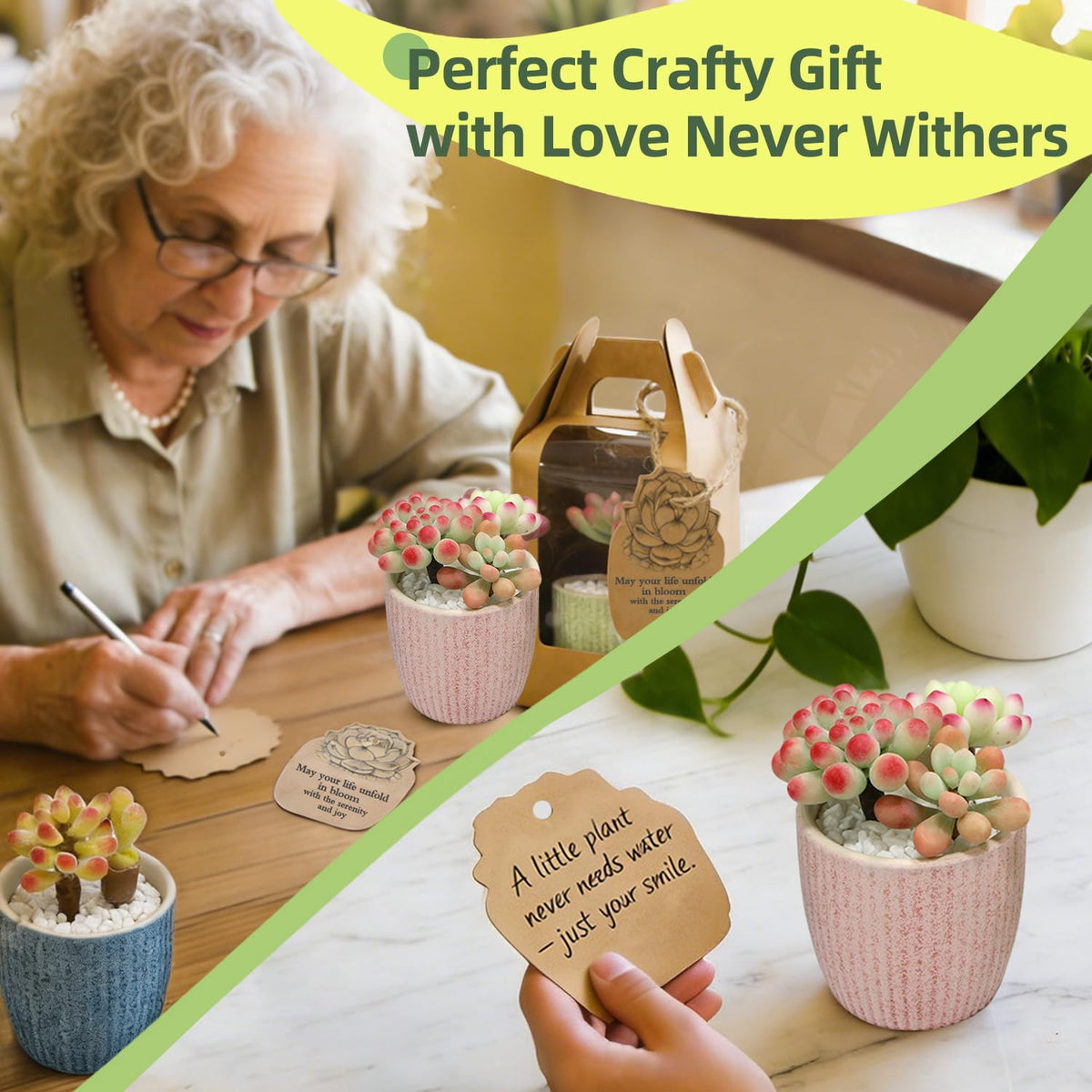 Microland Craft Kits for Teens Crafty Clay Kit for Succulents Flower Making Fun Adult Activities of Arts and Crafts Art Therapy Crafting Set Creative Gifts for Women Teen Girls Artist Gifts for Mom