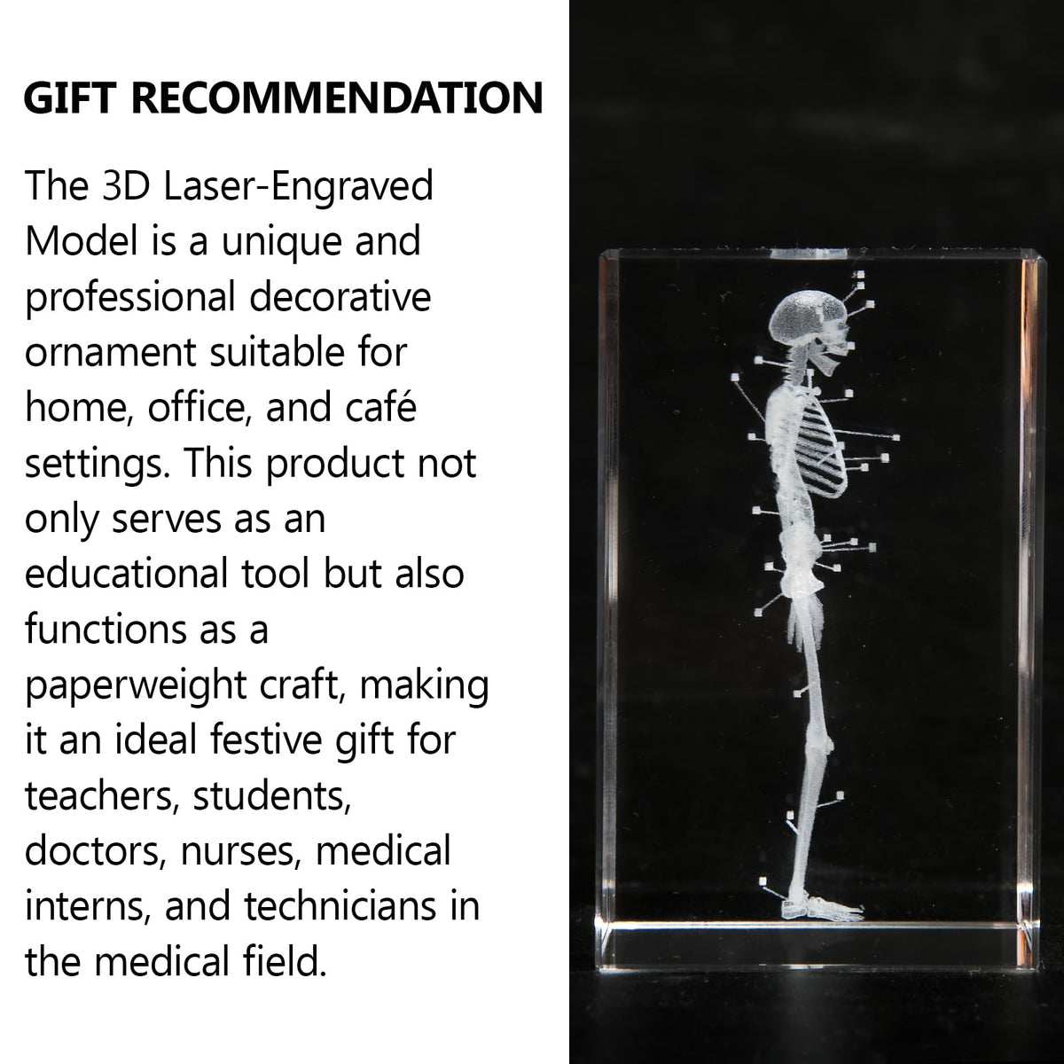 3D Human Skeleton Crystal Model Skeletal Anatomical Model for Home and Office Decoration, Unique Gift for Doctors and Students