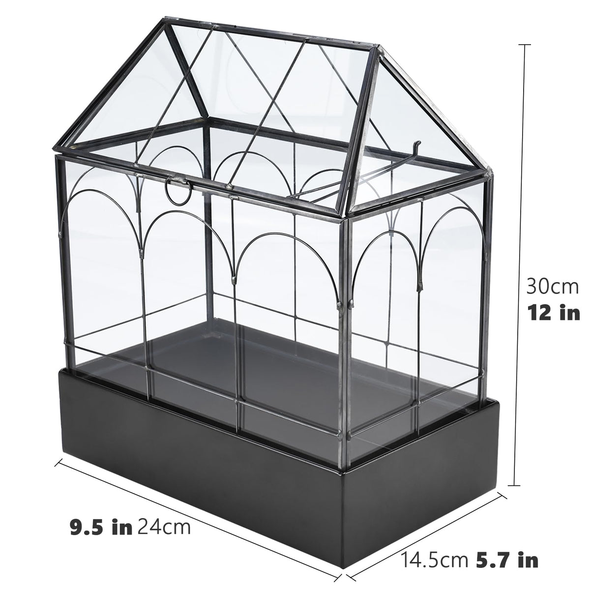 HighFree Glass Terrarium with Metal Tray, Glass Greenhouse Terrarium Kit for Succulents, Cacti, Snails, Spiders, and Miniature Reptiles, Black (Large-9.45" L x 5.7" W x 11.8" H)