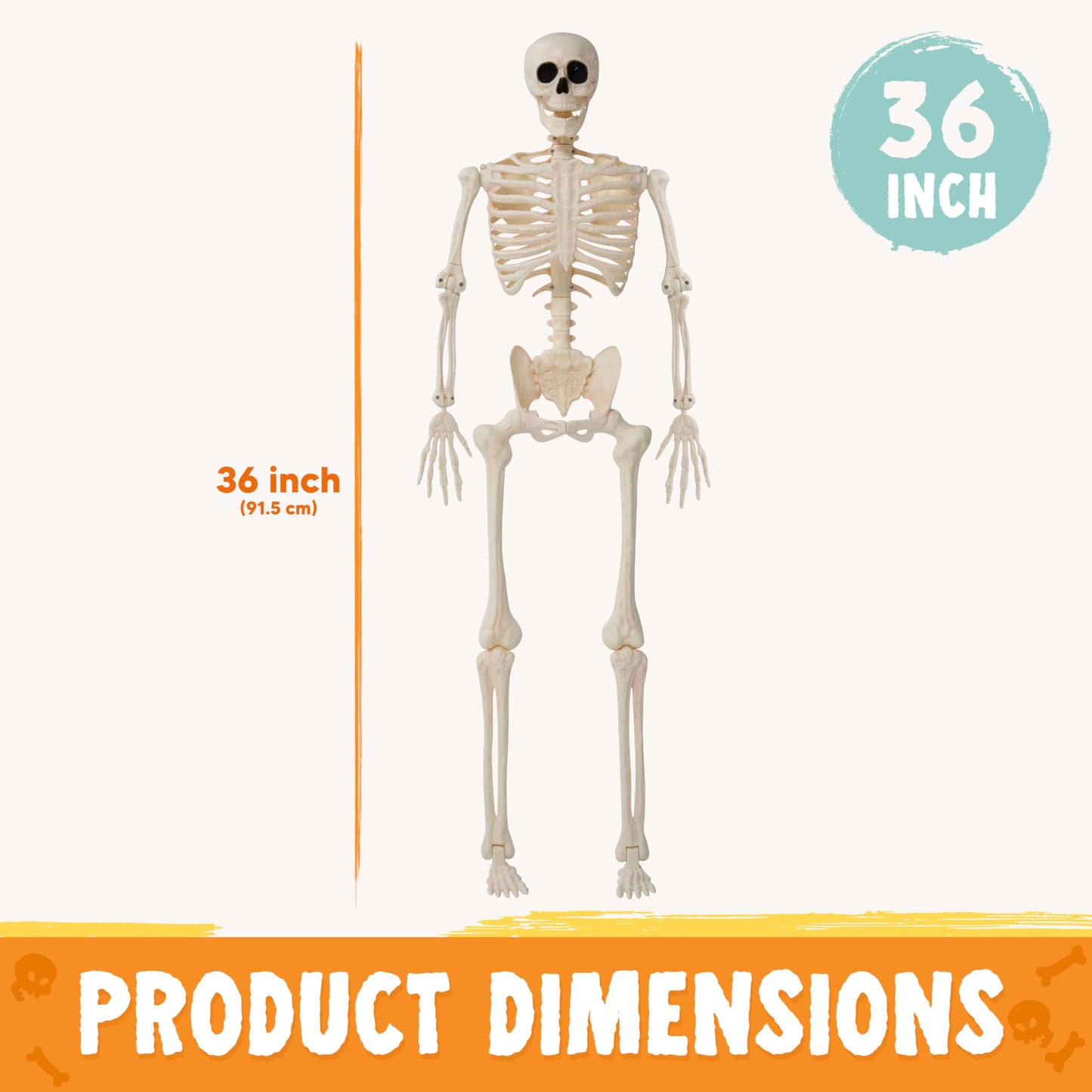 JOYIN 2PCS 36" Halloween Skeleton Decor, 3FT Full Body Stayable Movable Joints, Posable Hanging Skeletons for Halloween Decoration, Yard, Graveyard, Haunted House Props, Spooky Scene Party Favor