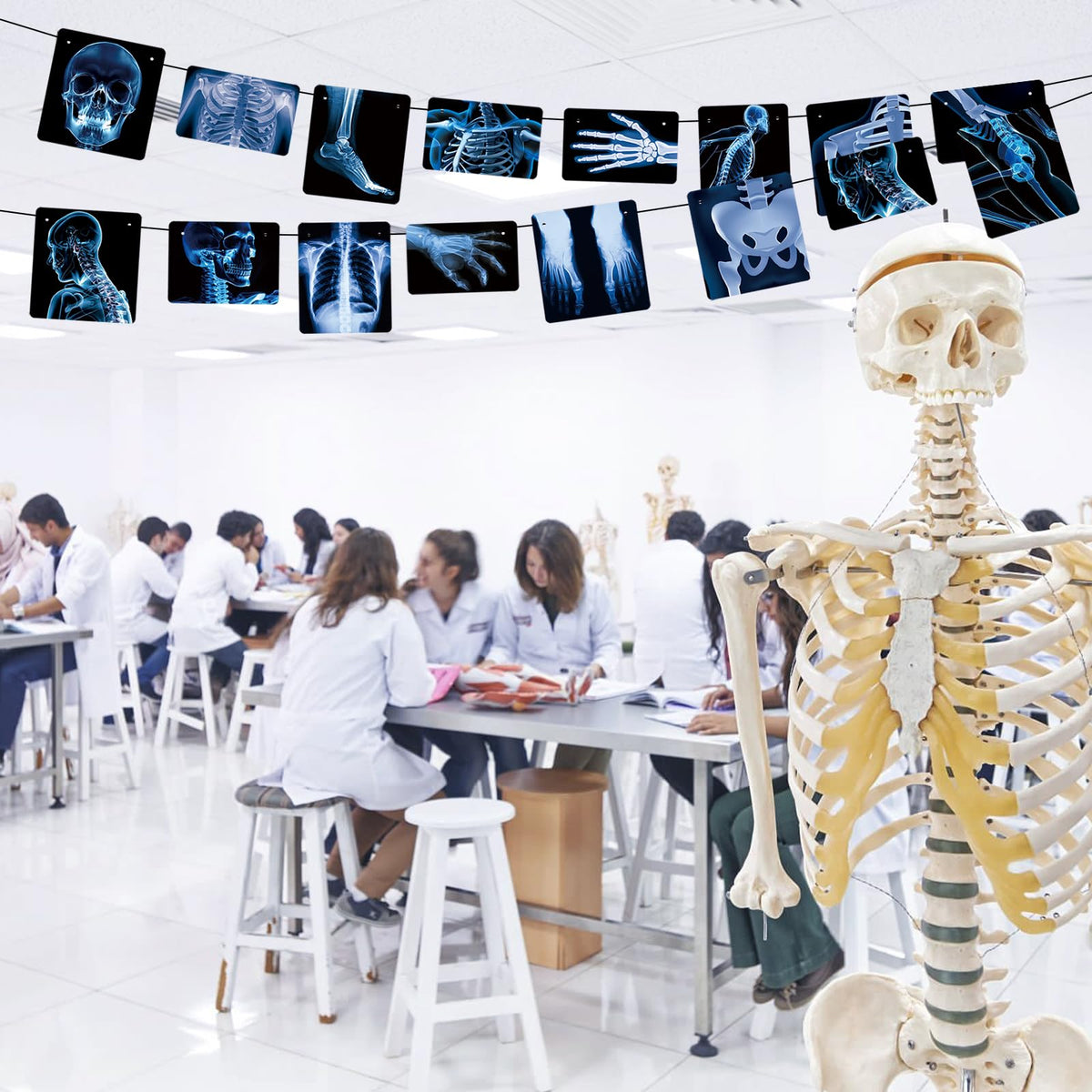 4 Strings X-Ray Skeleton Banner Decorations, Pre-Strung Medical Radiology Anatomy Garland with 24 X-Ray Body Part Images for Doctor Nurse Graduation, Halloween Party, Clinic Classroom Science Décor