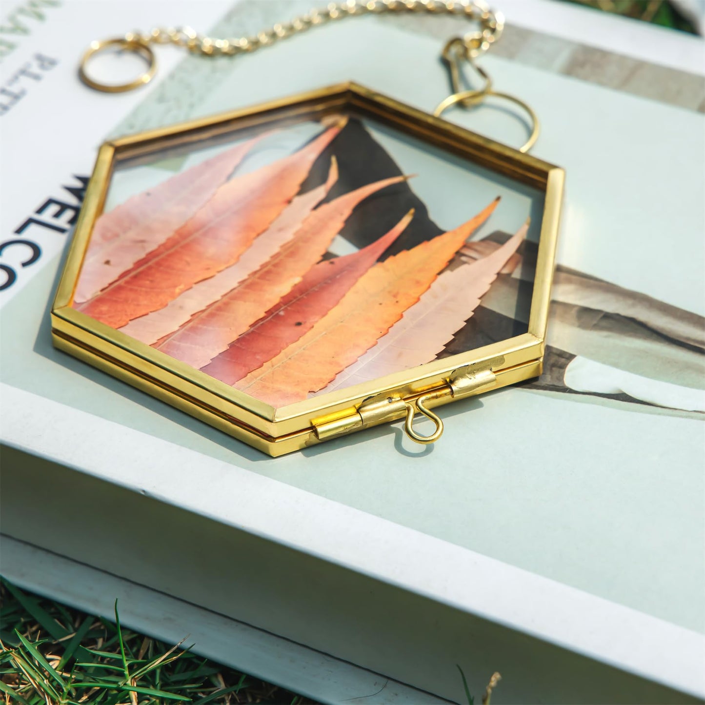 NCYP Mini Glass Floating Frame for Dried Flowers Plants, Photo - Side length 1.9 Inches - Wall Hanging Vertical Decor, Small Double Specimen Clip, Gold Hexagon (Glass Frame Only)