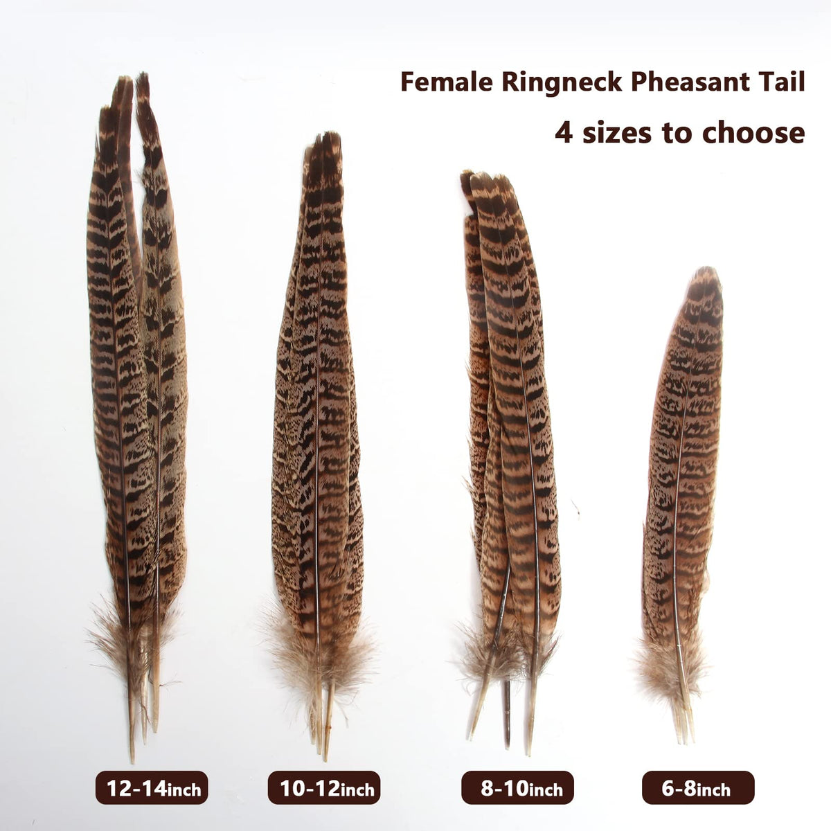 20pcs Female Pheasant Feather Natural Ringneck Tails Feathers 10-12inch 25-30cm for Crafts Home Wedding Party Performance DIY Decoration Pheasant Feather,Female Pheasant Feathers