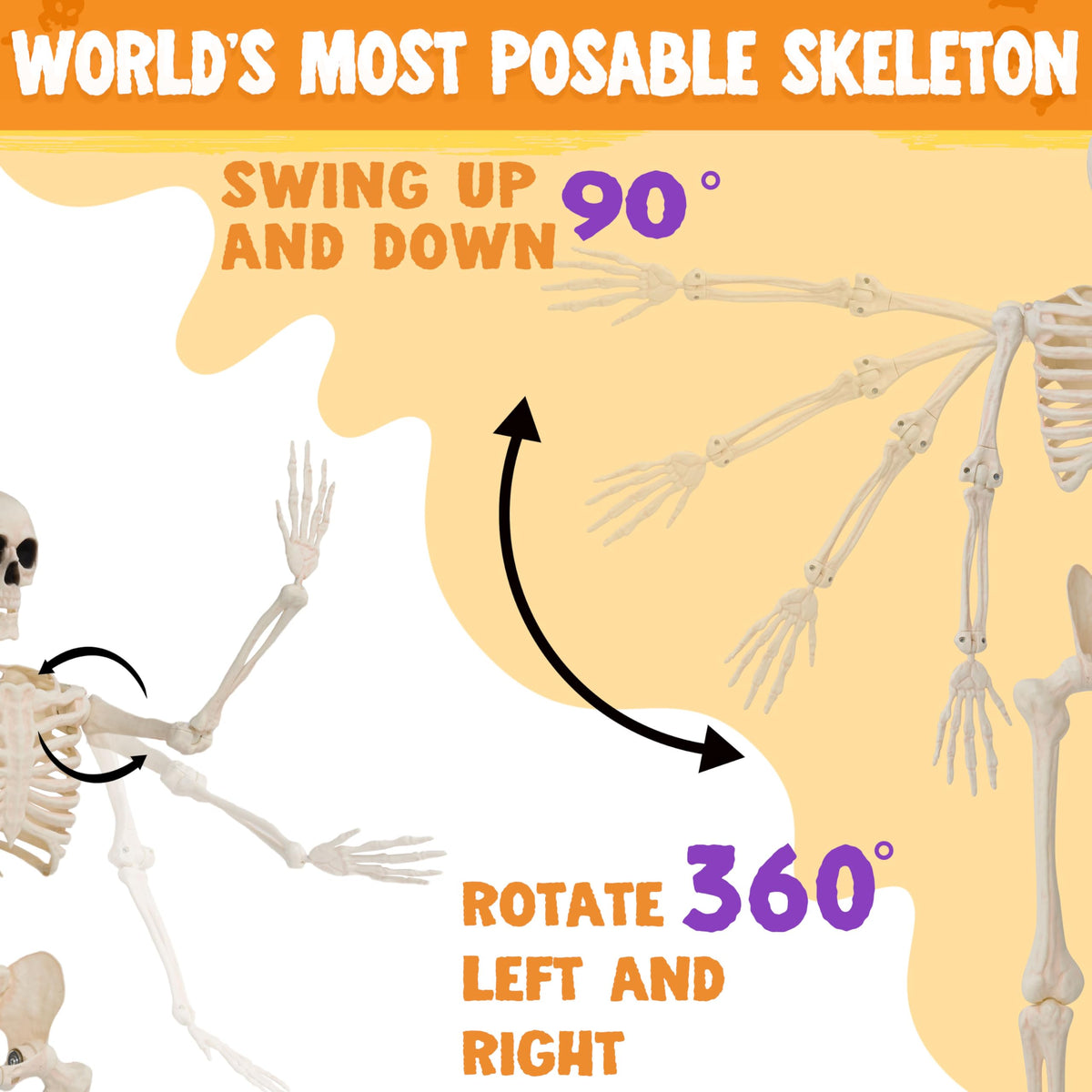 JOYIN 2PCS 36" Halloween Skeleton Decor, 3FT Full Body Stayable Movable Joints, Posable Hanging Skeletons for Halloween Decoration, Yard, Graveyard, Haunted House Props, Spooky Scene Party Favor
