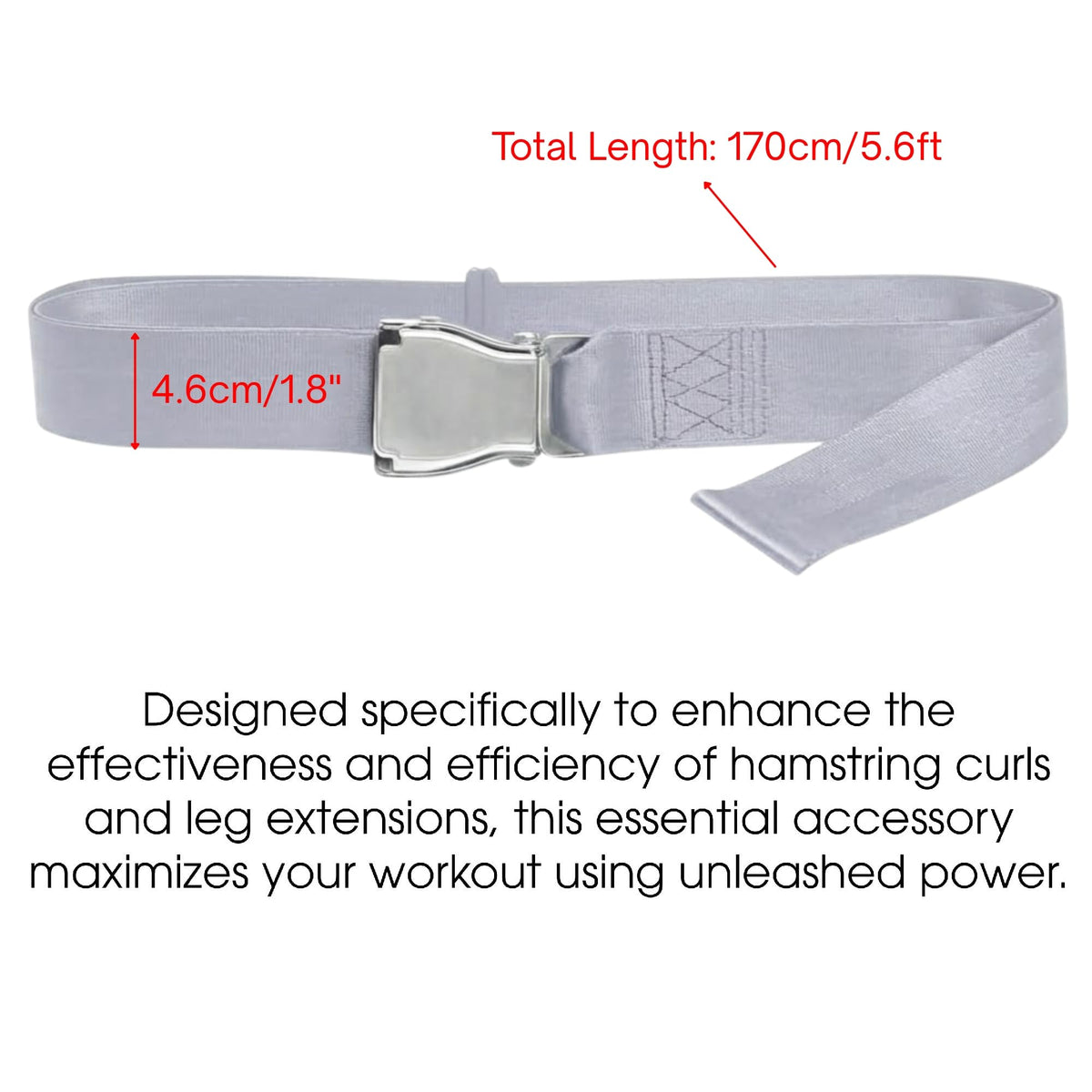 Gym Seatbelt, Leg Extension Lifting Seatbelt, Nordic Hamstring Curl Strap on Bench, 5.6ft L, Buckle Squat Collar for Workouts Machine, Home Gym Stretch & Mobilization Exercise for Men Women (Grey)