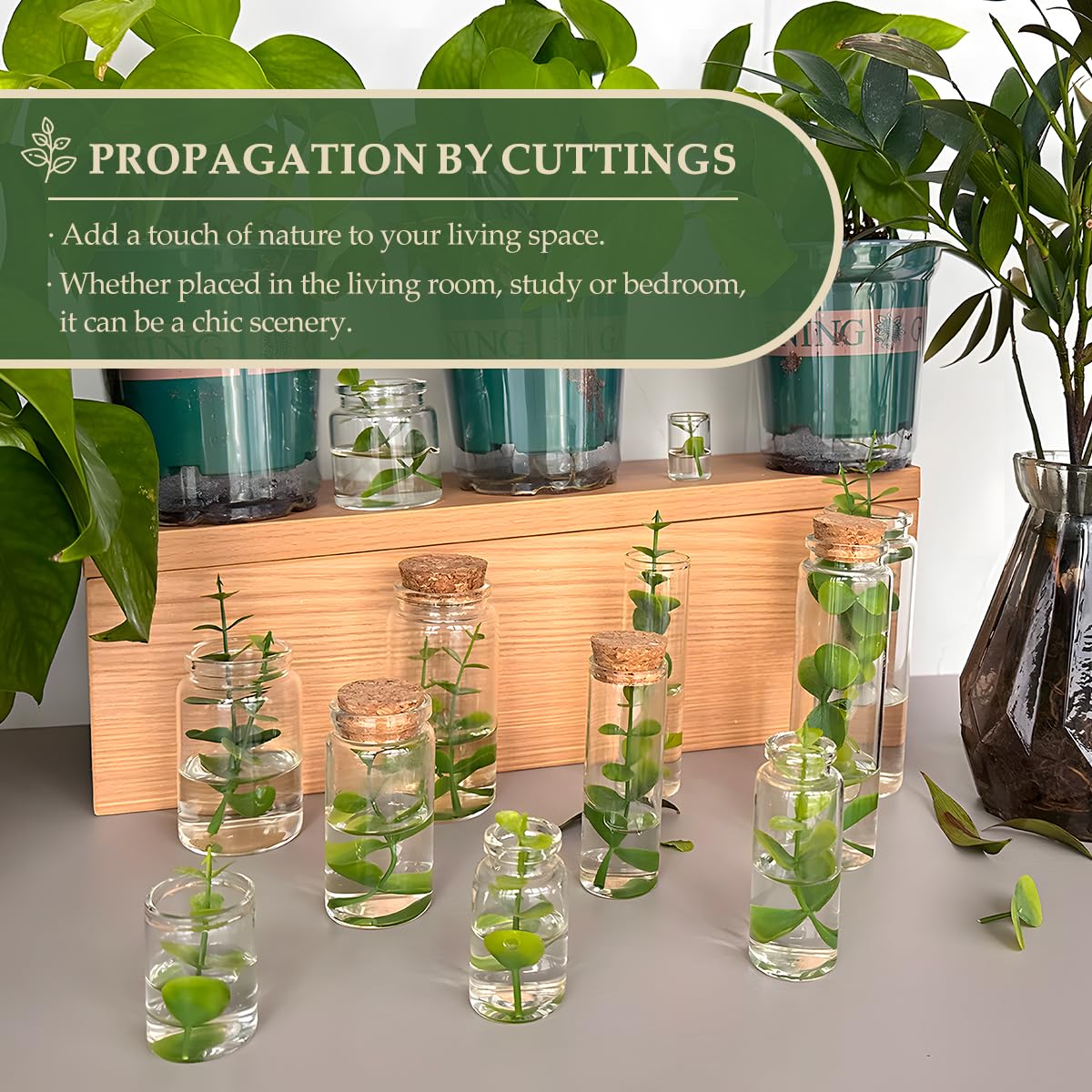 15-Pack 1.35 oz (40 ml) Glass Bottles with Cork Stoppers – for Spell Bottles, Spice Jars, DIY Party Favors, Travel Memories & Plant Propagation – Empty Recyclable Containers for Crafts, Kitchen,Décor