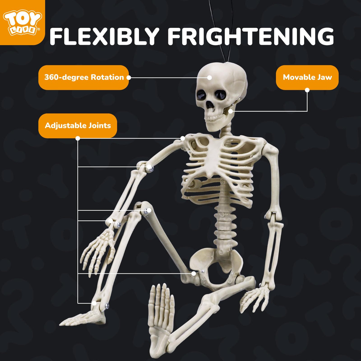 TOY Life 16" Posable Halloween Skeleton Decor - 6 Pcs Full Body Joints Outdoor Indoor Decorations, Plastic Hanging Skeleton for Halloween