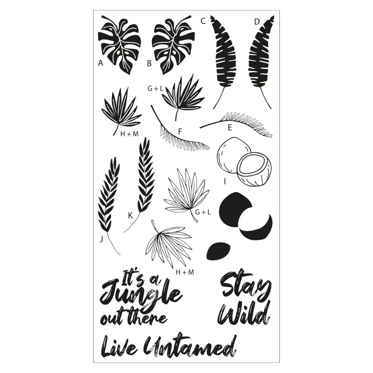 Sizzix Clear Stamps Set – Stay Wild by Catherine Pooler