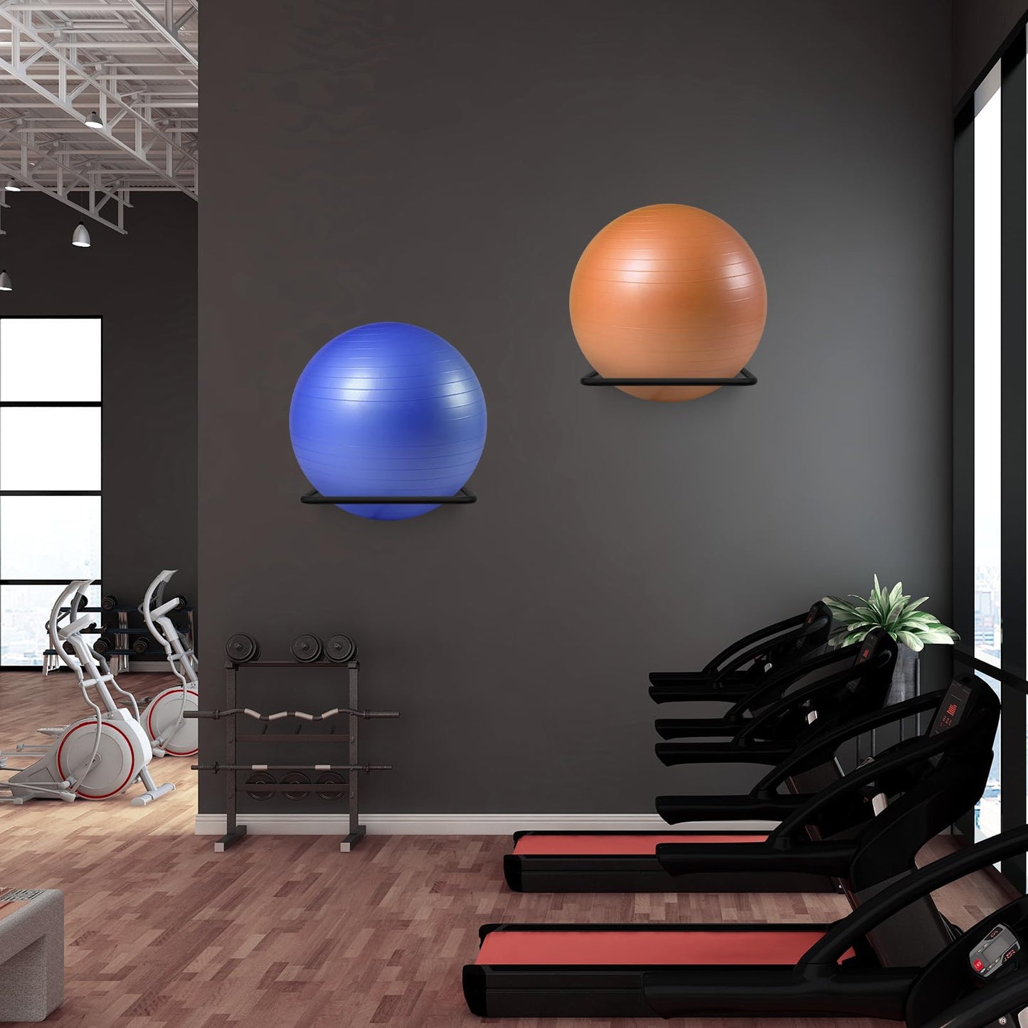 XIAOPEIZHI Stability Ball Storage Rack,Holder Wall Mount, Exercise Racks for Home and Yoga Studios or Commercial Gyms,Acts as a Storage (1 Black)
