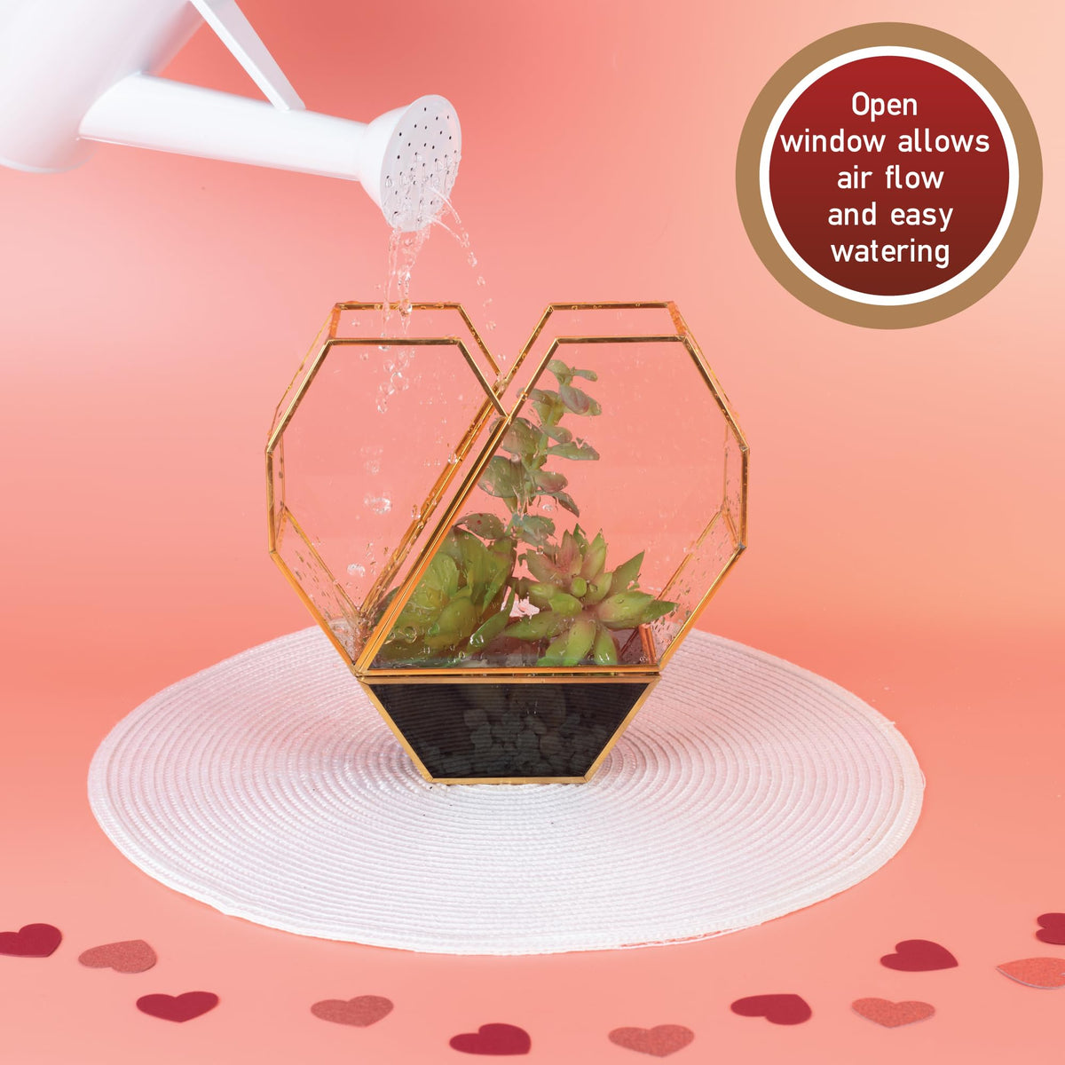 D'Eco Glass Heart Centerpiece (8x8x2.5)- Tabletop Planter Terrarium - Spring Home Decor & Wedding Letterbox - Fill with Succulents, Cacti, Air Plants, Moss, Flowers for Plant Lovers