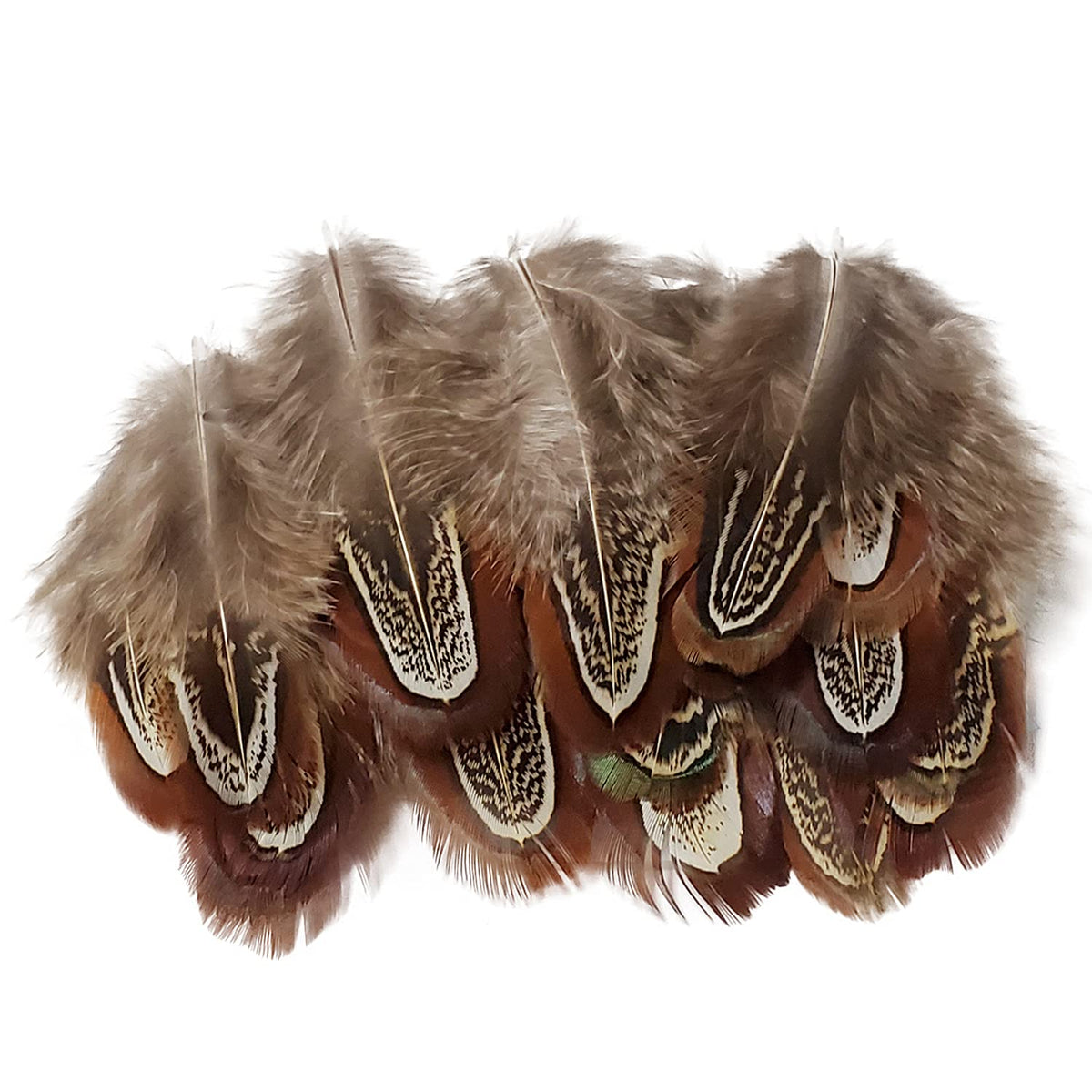 200 pcs Natural Pheasant Plumage Feathers 2-3 Inches Plumage Feathers for Sewing Crafts Clothing Decorating Accessories -Nature