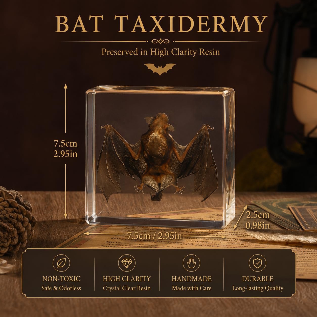 Taxidermy Bat, Real Bat Specimens Animal Specimen in Resin for Science Classroom Science Education, Great Gift for Fans of Taxidermy, Animal Skull, Oddities, Biology(3 x 3 x 1 inch)