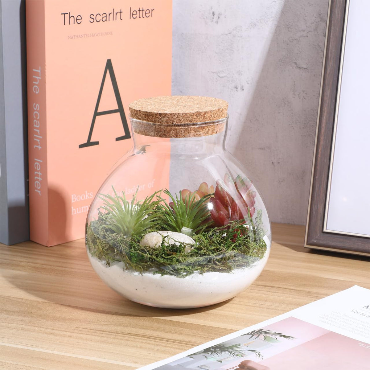 YARNOW Terrarium Bottle with Cork Lid 5.5 Inch Clear Glass Jar for Diy Micro Landscape Succulent Plant Moss Display and Home Decoration