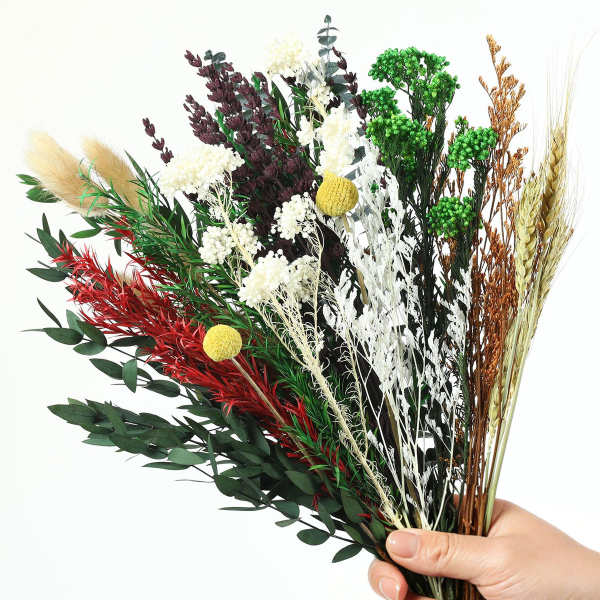 Natural 12 Kinds Dried Flowers Set, 16" Floral Arrangements with Eucalyptus, Bunny Tails, Wheat, Lavender, Rustic Boho Wedding, Home Centerpiece Decorations, Handmade for DIY Crafts, Fall Table Décor