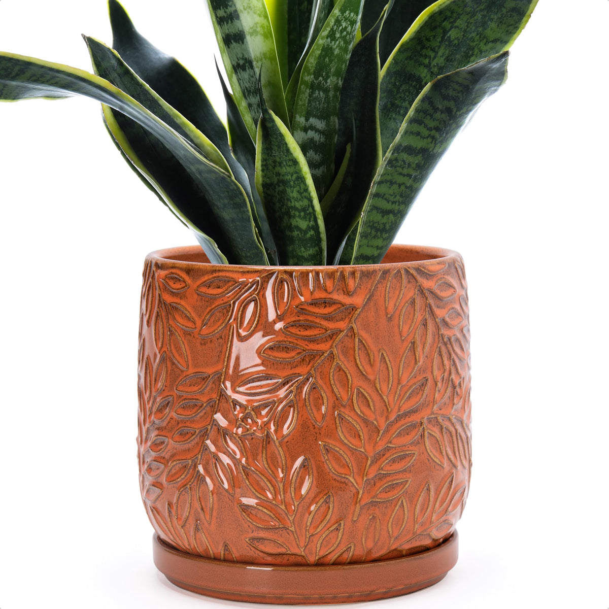 D'vine Dev 8 Inch Embossed Leaves Stoneware Planter Pot with Drainage Hole and Saucer, Pumpkin, 27-A-Q-J