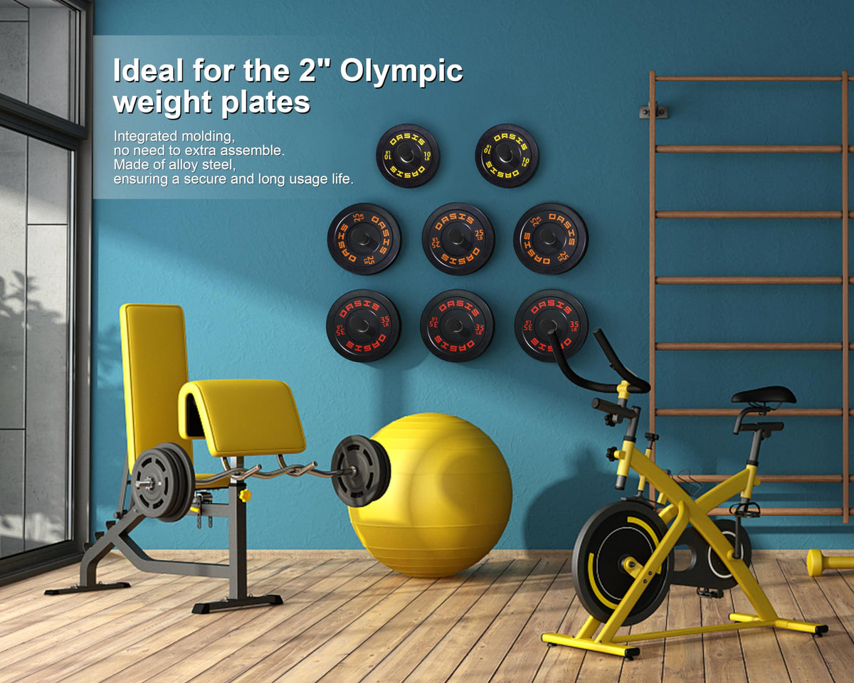 MIUONO Weight Plate Holder, 6 Pack Weight Plate Rack, Fit for 2 Inch Olympic Plate Storage Home Gym