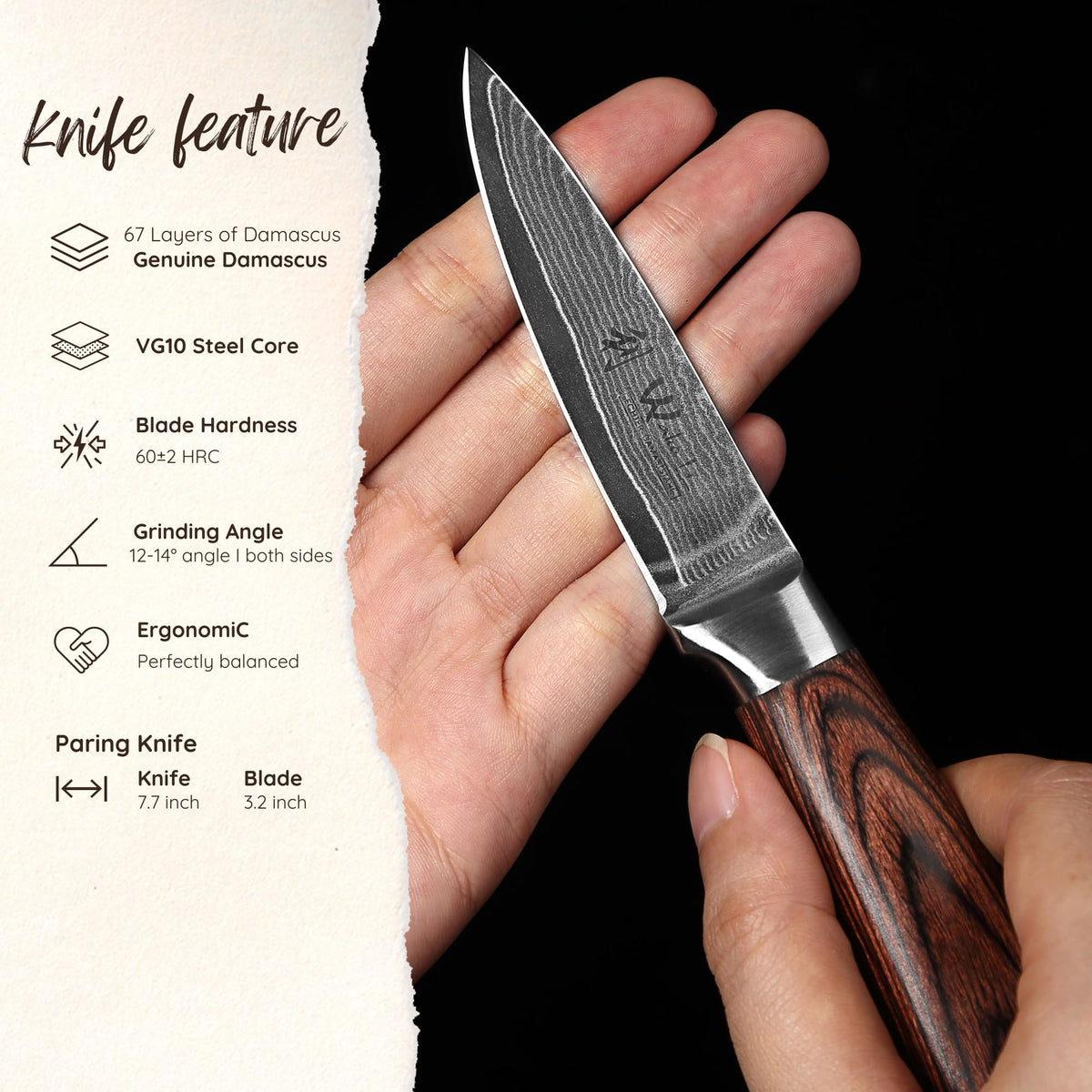 Wakoli EDIB Damascus Paring Knife – 3.2-Inch Small Kitchen Knife | Genuine 67-Layer Damascus Steel Blade with VG10 Core | Ergonomic Pakkawood Handle | Precision Cooking Knife in Gift Box